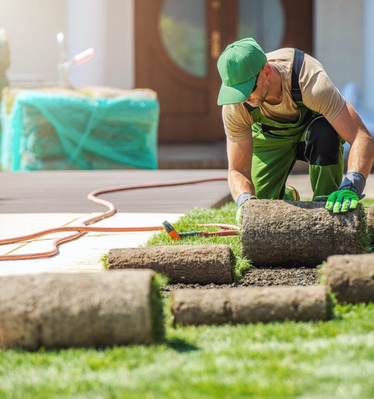 Gardening Industry Theme. Professional Caucasian Landscaper in His 40s Installing New Grass Turfs in a Garden.