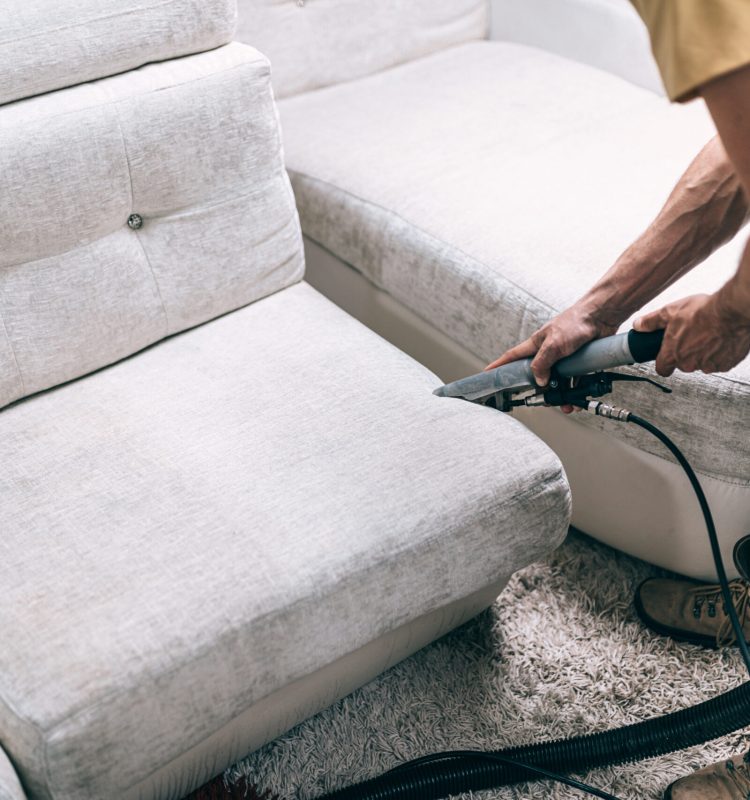 Process of deep furniture cleaning, removing dirt from sofa. Washing concept.